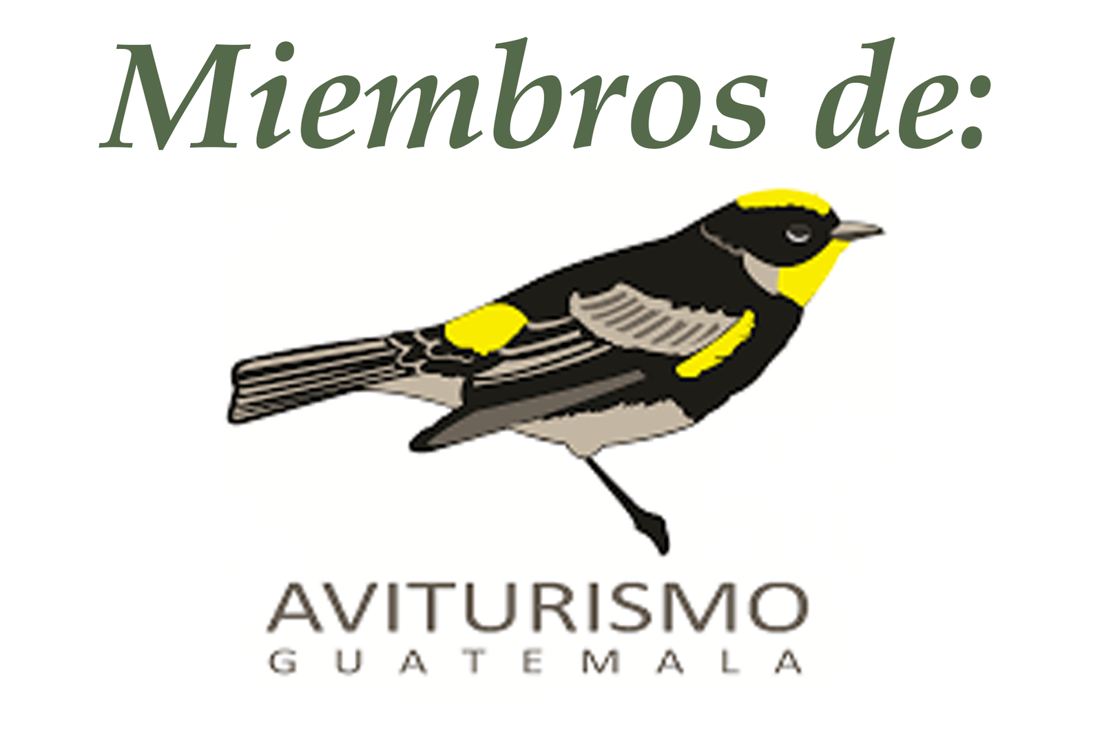 Miembro de aviturismo