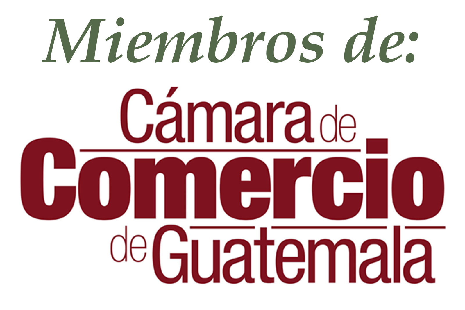 Miembro de camara de comercio